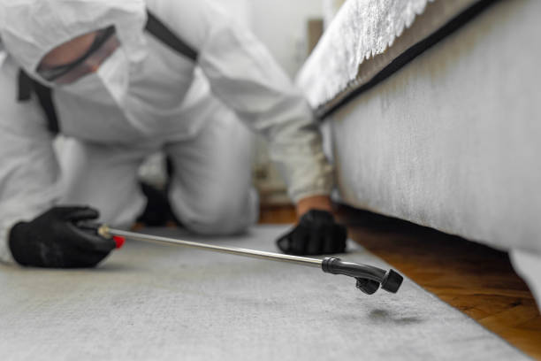 Professional Bed Bug Control technician working in Anahola, HI